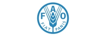 FAO FAO