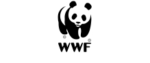 WWF WWF